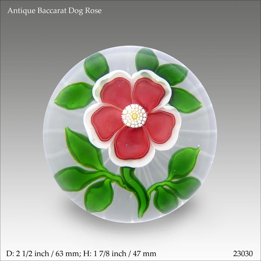 Antique Baccarat dog rose paperweight (ref. 23030)